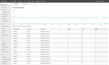 New Relic Apm